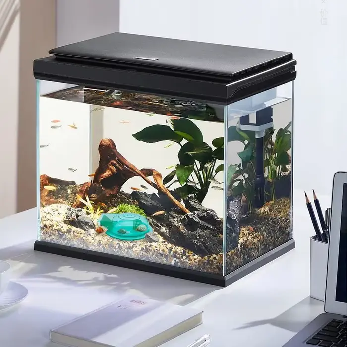 Attrape-escargot Transparent pour Aquarium
