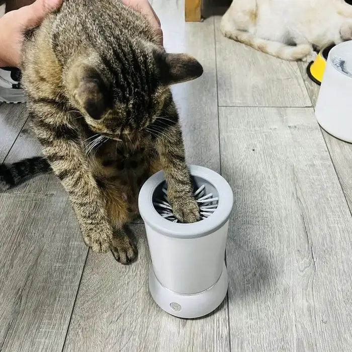 Lave-patte électrique automatique pour animaux de compagnie avec câble de chargement