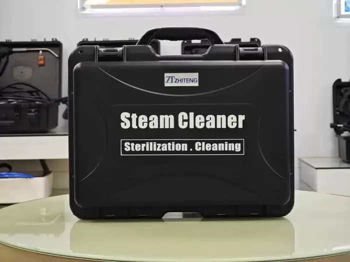 Nettoyeur à vapeur électrique domestique 220V