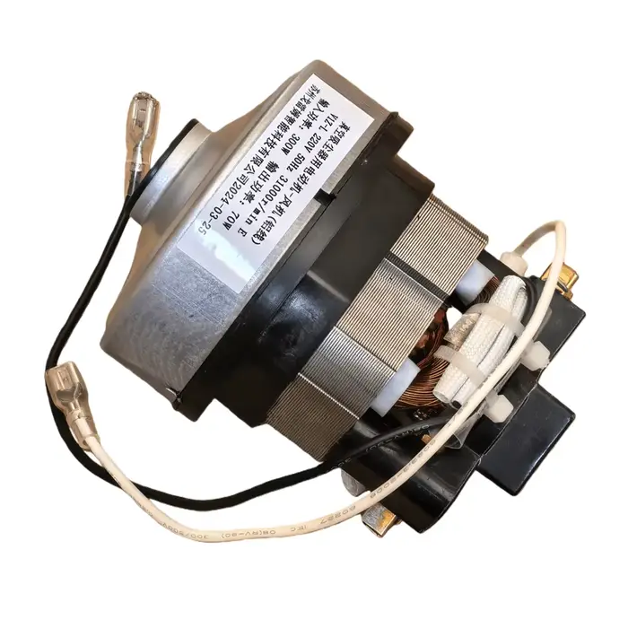 Nouveau moteur électrique pour aspirateur modèle V1Z-L 220V 50Hz Entrée 300W - Pièce de rechange neuve