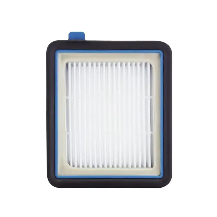 Filtres à vide adaptés pour Electrolux Well Q7