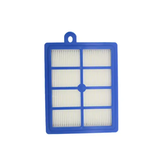 Filtre HEPA pour aspirateur Electrolux ZUF4206 ZUF4206DEL ZUF4306 ZUF4306DEL