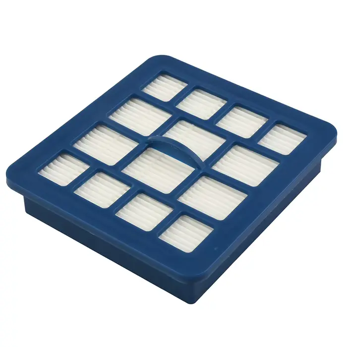 Filtre accessible adapté pour Hoover Telios Plus TE70-TE12