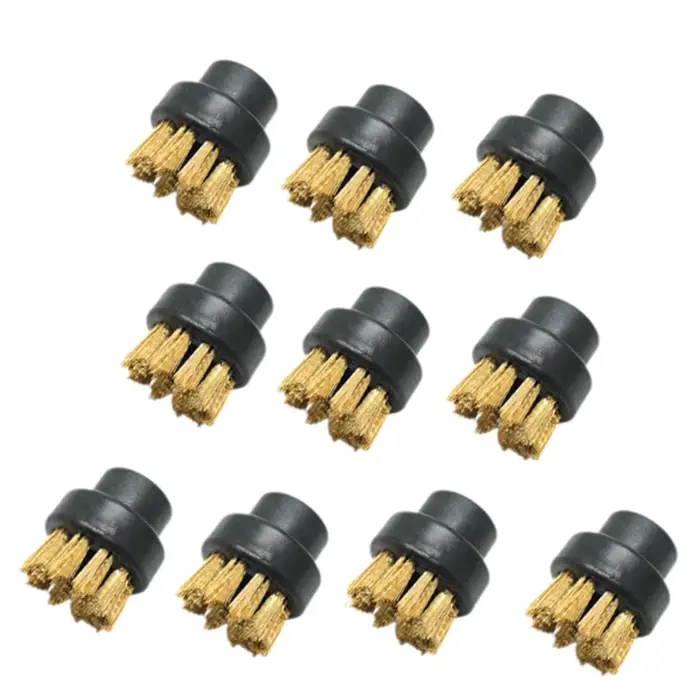 A76G-pour accessoires de nettoyeur vapeur Dupray-petites brosses en laiton (10 pièces) pour buses